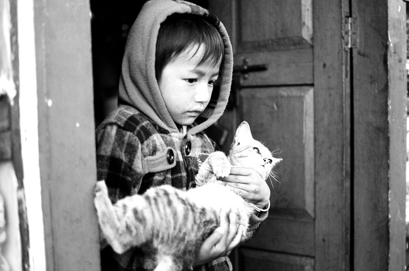 Heartwarming expression of a boy cradling his cat 