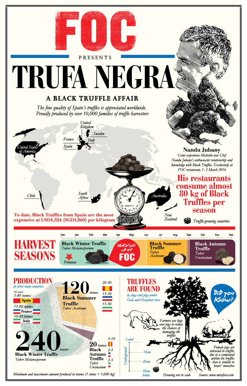 Infographics designed for a special event at FOC restaurant, with Michelin-star Chef Nandu Jubany’s enthusiastic relationship and knowledge with Black Truffles.